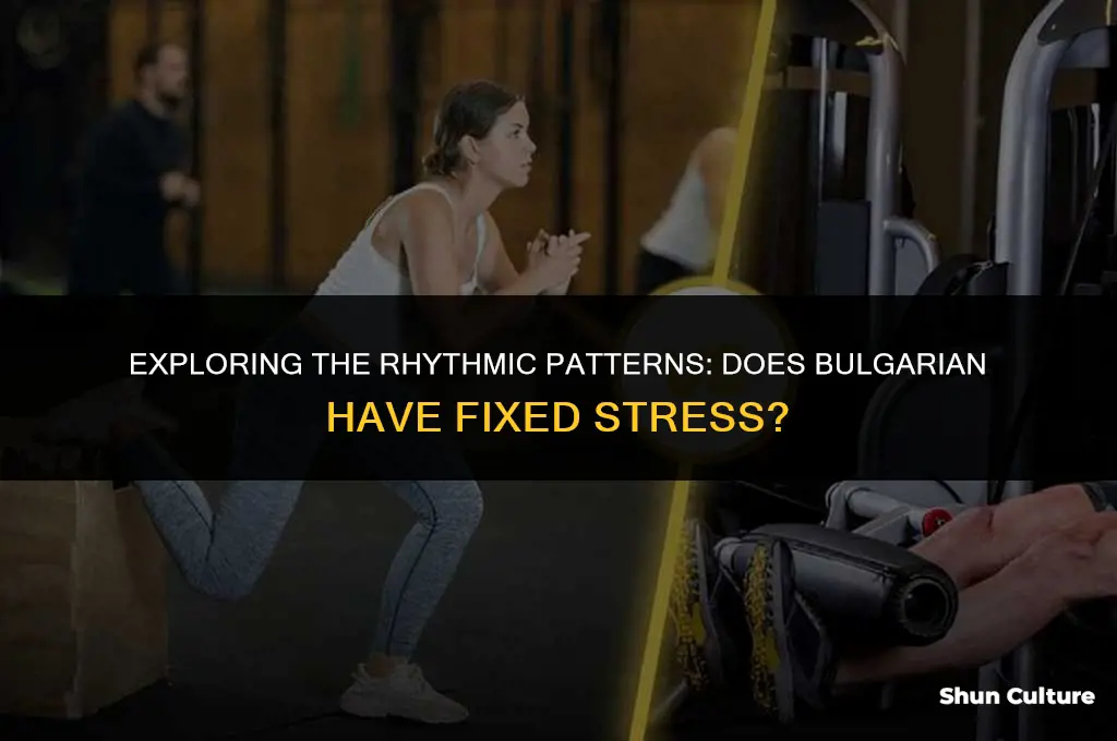 does bulgarian have fixed stress