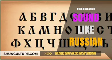 Exploring Linguistic Similarities: Does Bulgarian Sound Like Russian?
