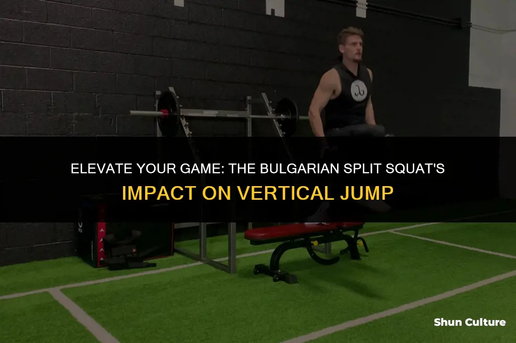 does bulgarian split squat make you jump higher