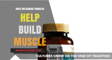 Unlocking Muscle Growth: The Truth About Bulgarian Tribulus