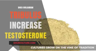 Exploring the Testosterone-Boosting Potential of Bulgarian Tribulus