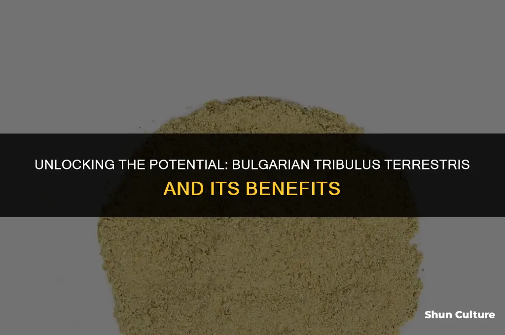 does bulgarian tribulus terrestris work