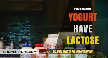 Bulgarian Yogurt: A Lactose-Friendly Option for Dairy Lovers?
