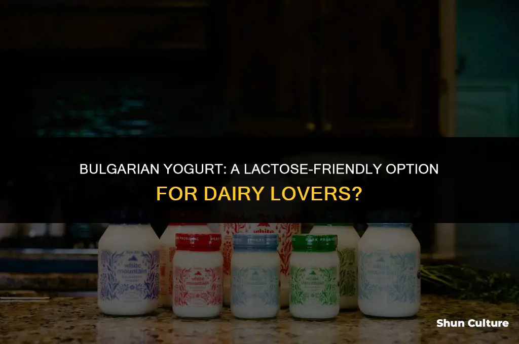 does bulgarian yogurt have lactose