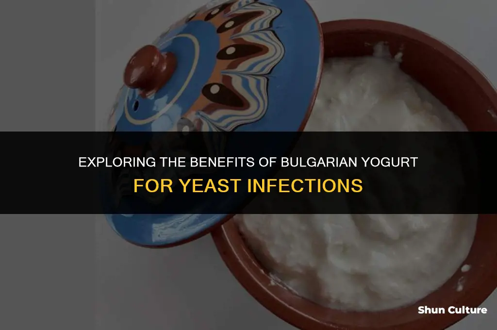 does bulgarian yogurt help yeast infections