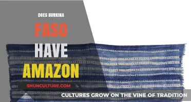 Exploring E-commerce in Burkina Faso: The Amazon Connection