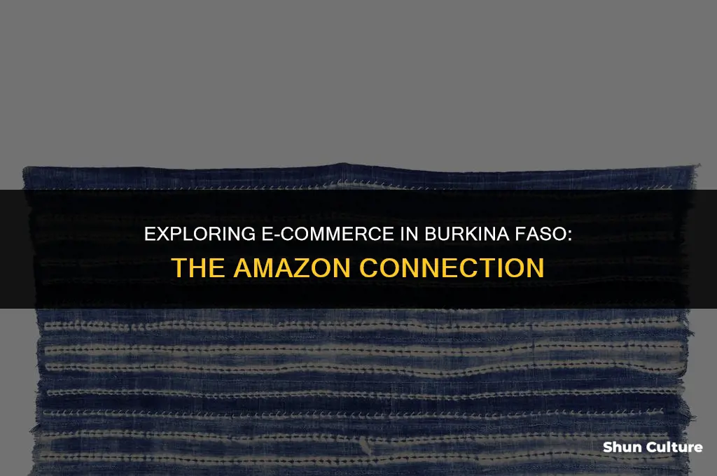 does burkina faso have amazon