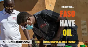 Exploring Burkina Faso's Oil Sector: Prospects and Challenges