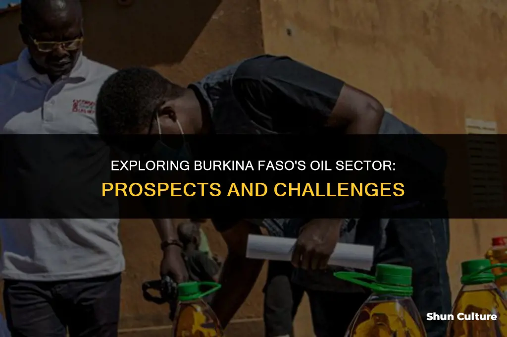 does burkina faso have oil