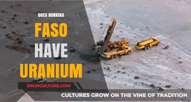 Unveiling the Truth: Uranium Prospects in Burkina Faso