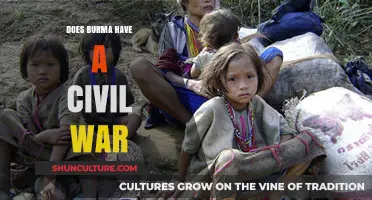 Conflict in Myanmar: Understanding the Complex Civil War Dynamics