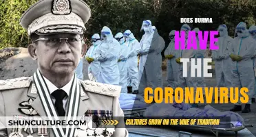 COVID-19 in Burma: The Latest Updates and Precautions