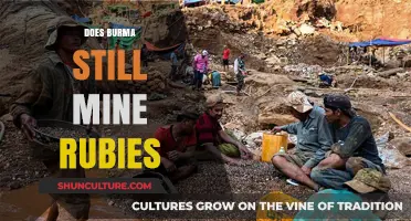 Unearthing Burma's Ruby Legacy: A Journey into the Mines