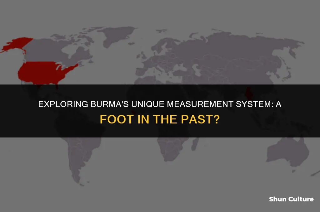 does burma use feet