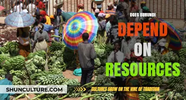 Burundi's Resource Reliance: A Path to Prosperity or Peril?