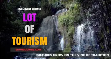Exploring Burundi's Tourism Potential: A Hidden Gem in Africa