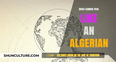 Camus' Algerian Identity: A Complex Legacy of Belonging and Alienation