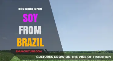 Canada's Soy Imports: Exploring Trade Relations with Brazil