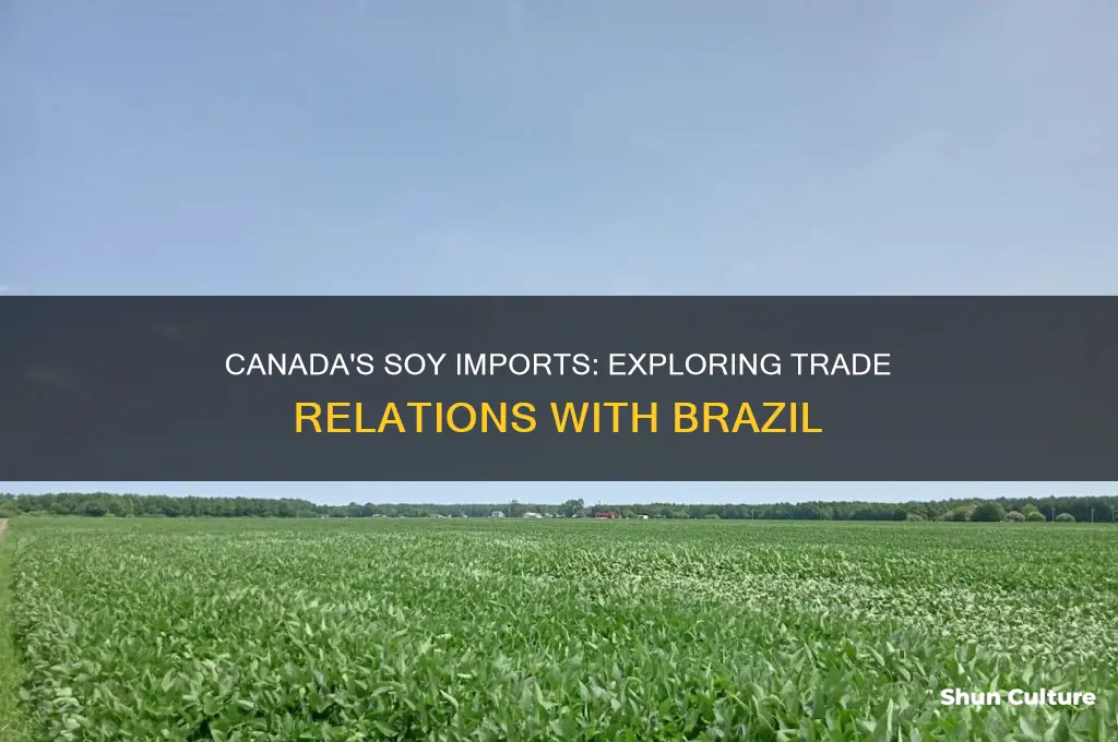 does canada import soy from brazil