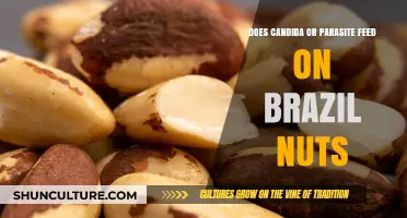Can Candida or Parasites Feed on Brazil Nuts? Uncovering the Truth