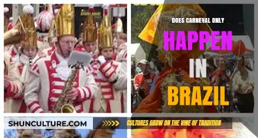 Beyond Brazil: Exploring Global Carnival Celebrations and Traditions