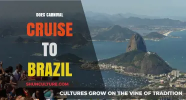 Exploring Carnival Cruise's Brazilian Itineraries: What You Need to Know