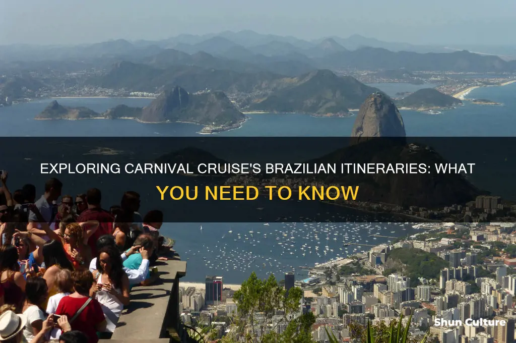 does carnival cruise to brazil