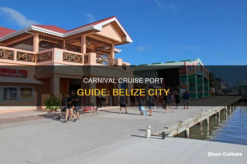 does carnival port in belize city