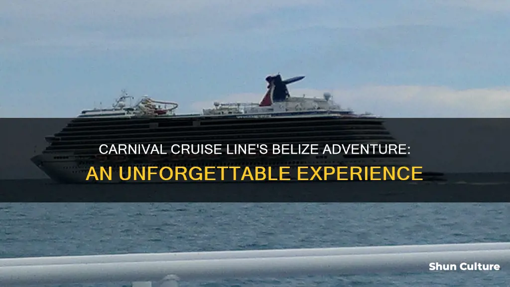 does carnivsl cruise line go to belize