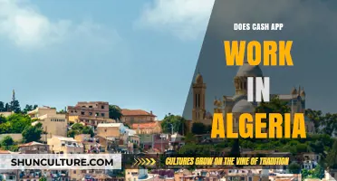 Does Cash App Work in Algeria? A Comprehensive Guide for Users