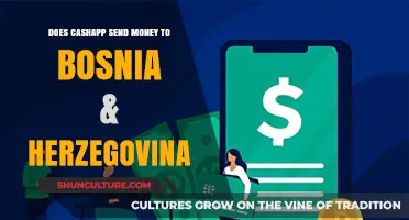 Can You Send Money to Bosnia & Herzegovina via CashApp?