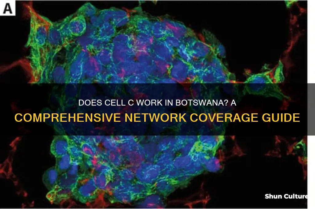 does cell c work in botswana