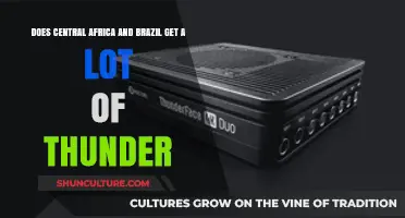 Thunder in Central Africa and Brazil: Frequency and Climate Insights