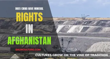 The Geopolitics of China's Mineral Rush in Afghanistan: A Complex Equation
