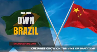 Does China Own Brazil? Debunking Myths and Analyzing Economic Ties