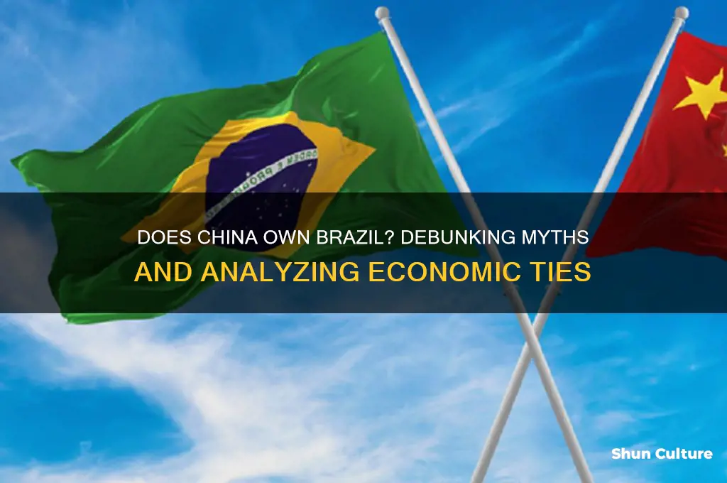 does china own brazil