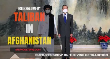 The Complex China-Taliban Relationship: A Delicate Balancing Act in Afghanistan