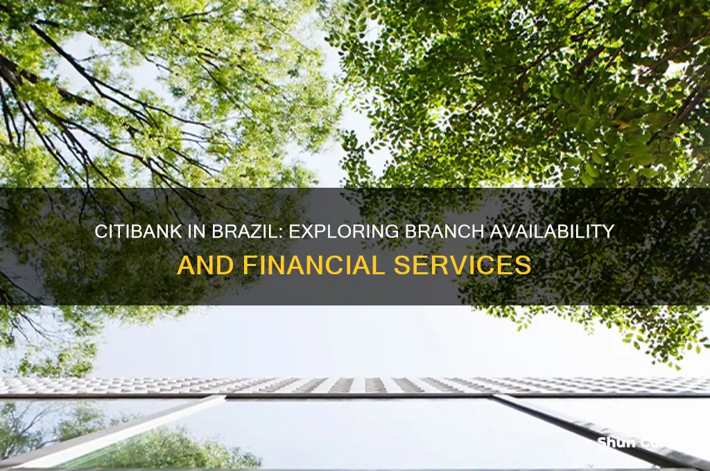 does citibank have branches in brazil