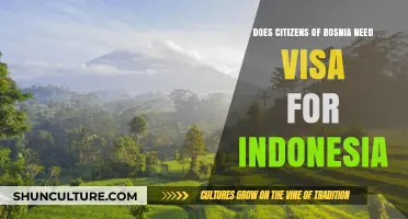 Bosnia Citizens: Visa Requirements for Traveling to Indonesia Explained