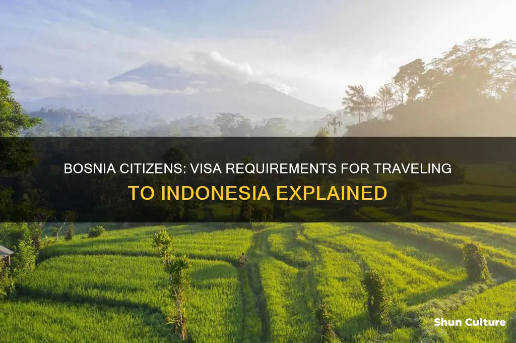 does citizens of bosnia need visa for indonesia