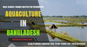 Climate Change Impacts on Bangladesh's Freshwater Aquaculture: Challenges and Solutions
