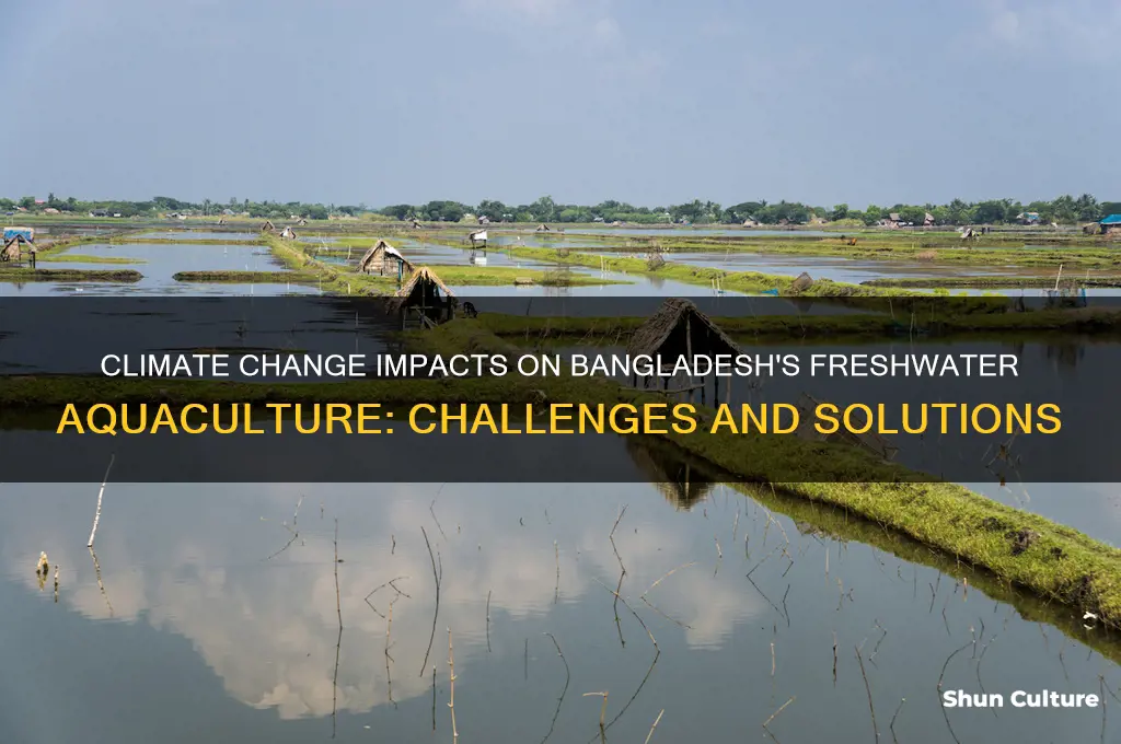 does climate change matter for freshwater aquaculture in bangladesh