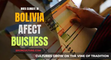 Bolivia's Climate: Impacting Business Operations and Strategies