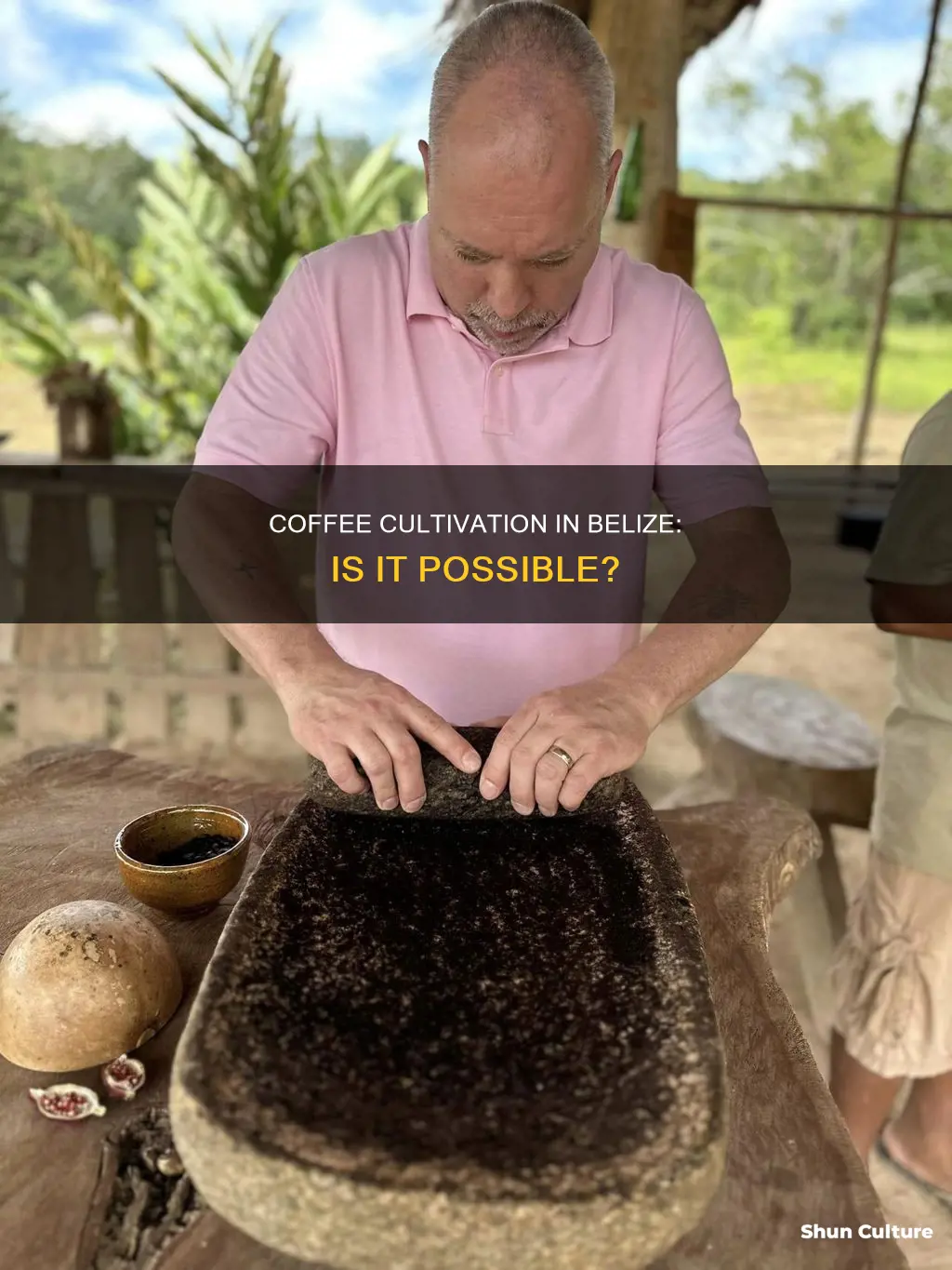 does coffee grow in belize