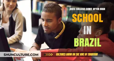 Does College Follow High School in Brazil? Exploring Educational Pathways