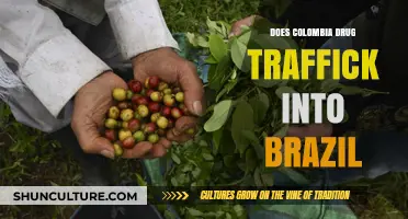 Colombia-Brazil Drug Trafficking: Uncovering Cross-Border Narcotics Networks and Impact