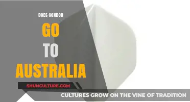 Does Condor Airlines Fly to Australia? Routes and Destinations Explained