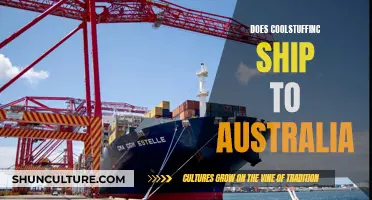 CoolStuffInc: Shipping to Australia — What's the Deal?
