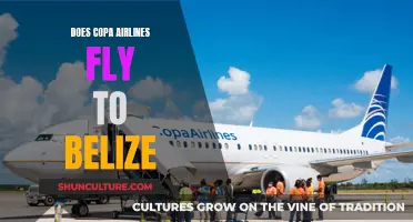 Copa Airlines: Your Gateway to Belize?