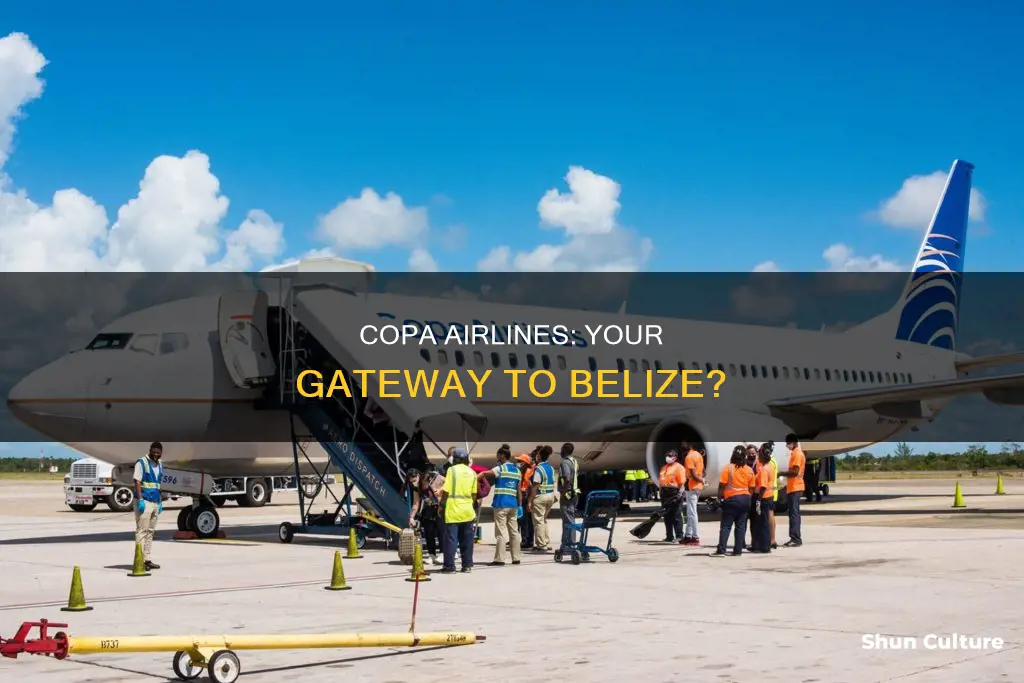 does copa airlines fly to belize